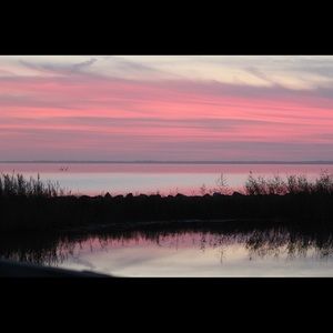 Meet your Posher, Anne